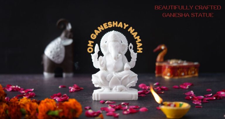 WhatsApp Image 2026-03-01 at 10.17.22 PM (1)